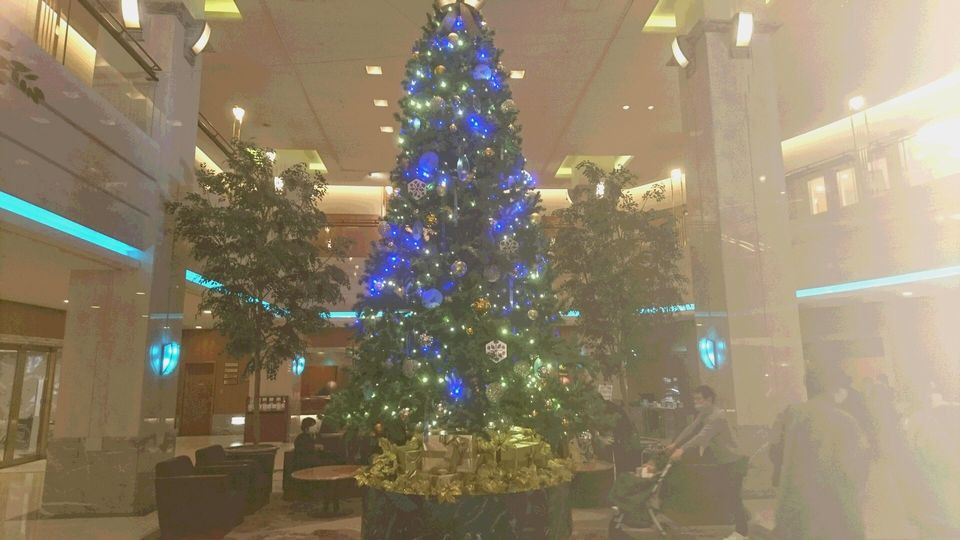 ホテルグランヴィア岡山にクリスマスツリーが登場です！♬